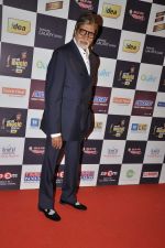 Amitabh Bachchan at Radio Mirchi music awards red carpet in Mumbai on 7th Feb 2013 (111).JPG